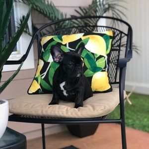 Meet your Posher, Melissa